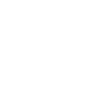 eVa Icon
