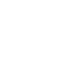 MoE icon