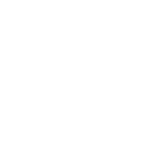 Neural Voyager Icon