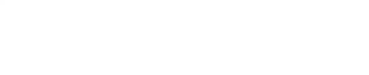 Next JS logo