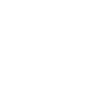 SOI Icon